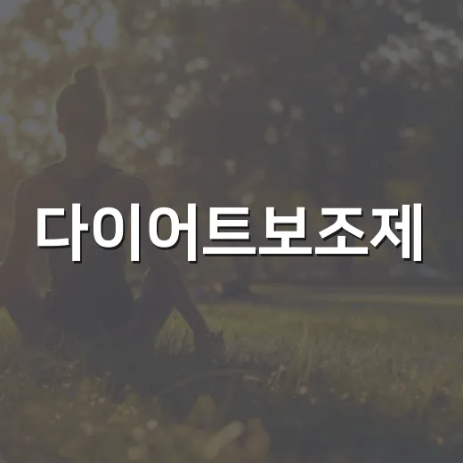 다이어트보조제, 정말 먹어도 괜찮을까요? - 요약