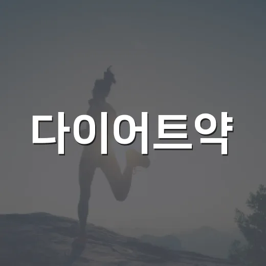 다이어트약, 시작하기 전에 무엇을 먼저 확인해야 할까요? - 요약