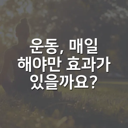 운동, 매일 해야만 효과가 있을까요? - 요약