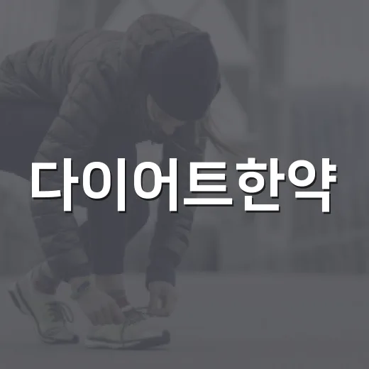다이어트한약, 정말 효과가 있을까요? - 요약