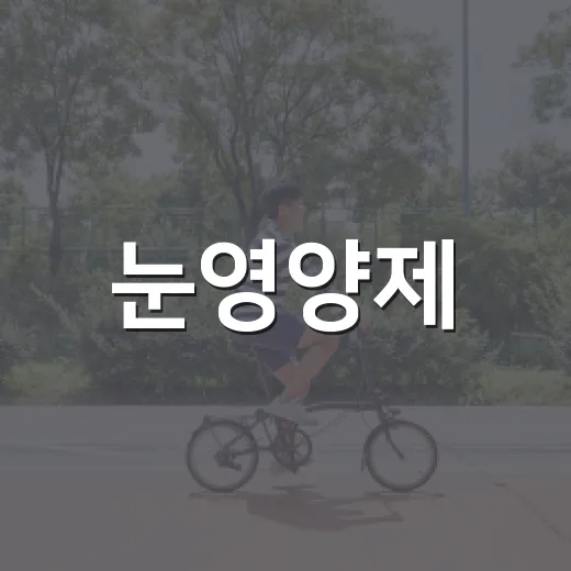 눈영양제, 정말 먹어야 할 때는 언제일까요? - 요약