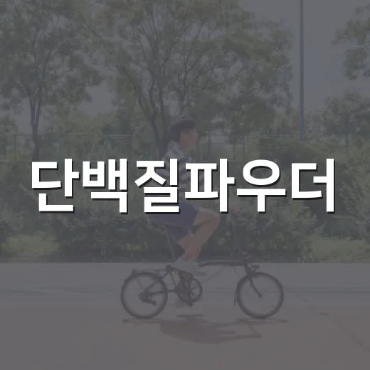 단백질파우더, 식사 대신 먹어도 괜찮을까요? - 요약