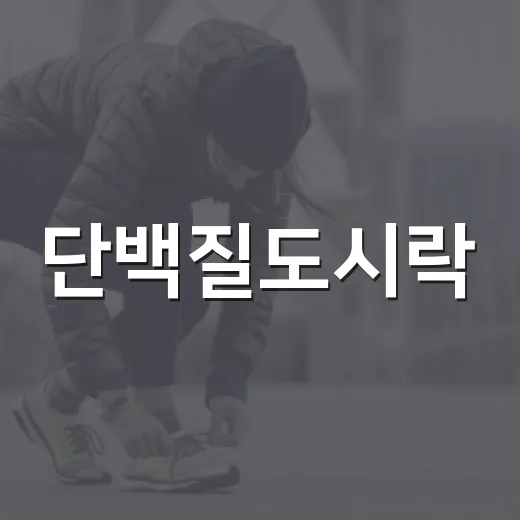 단백질도시락, 매일 먹어도 괜찮을까요? - 요약