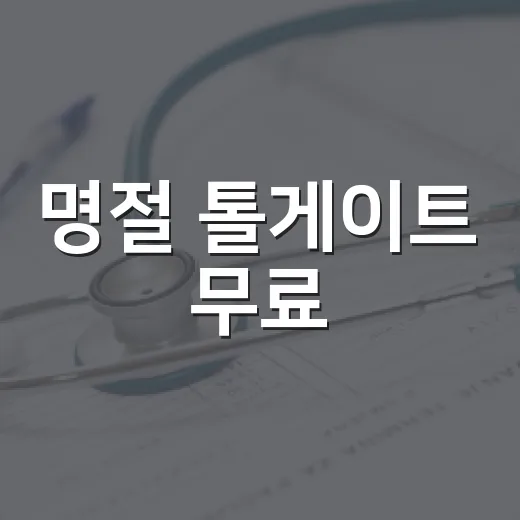 명절 톨게이트 무료, 하이패스 그냥 지나가도 괜찮을까요? - 요약