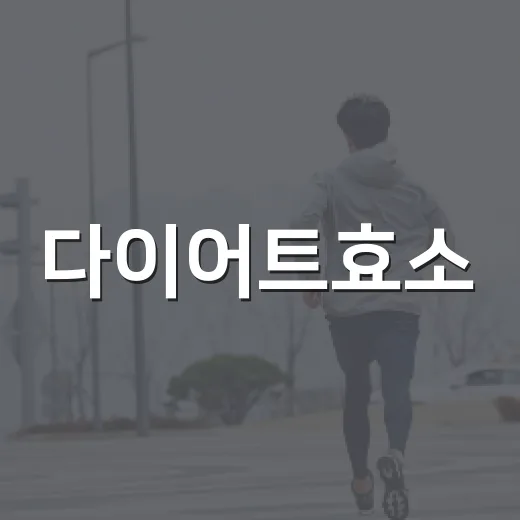 다이어트효소, 정말 살 빼는 데 필요할까요? - 요약