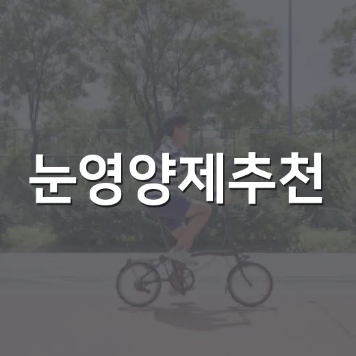 눈영양제추천, 루테인만 보면 충분할까요? - 요약