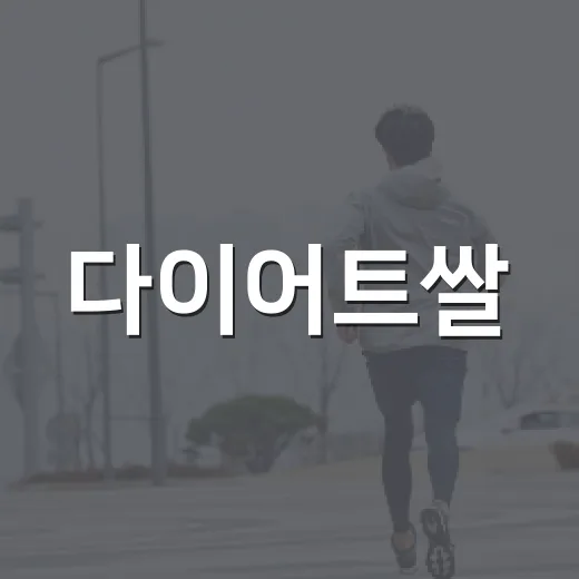 다이어트쌀, 흰쌀밥 대신 먹으면 정말 덜 부담될까요? - 요약