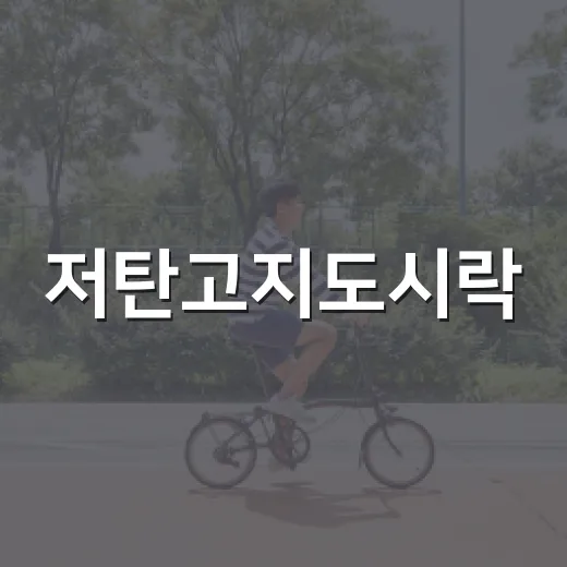 저탄고지도시락, 밥만 빼면 괜찮을까요? - 요약