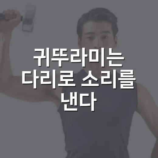 귀뚜라미는 다리로 소리를 낸다, 정말 맞는 말일까요? - 요약