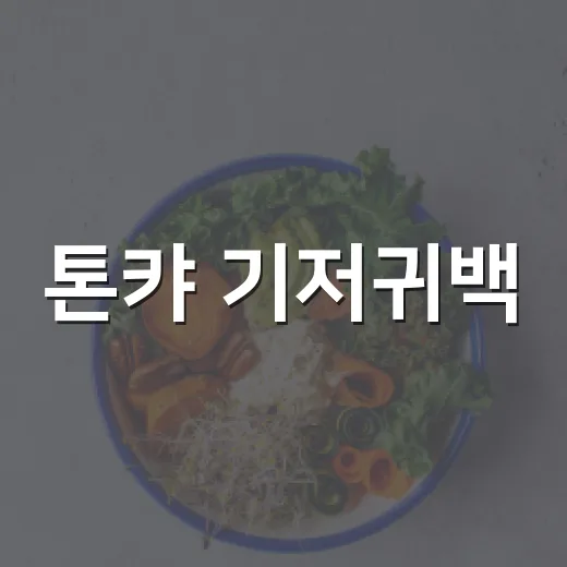 톤캬 기저귀백, 외출할 때 정말 편하고 위생적으로 쓸 수 있을까요? - 요약