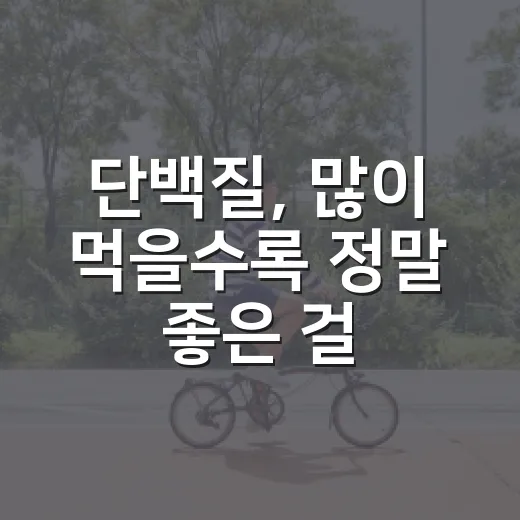 단백질, 많이 먹을수록 정말 좋은 걸까요? - 요약