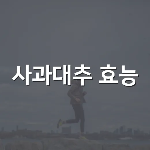 사과대추 효능, 달아서 많이 먹어도 괜찮을까요? - 요약