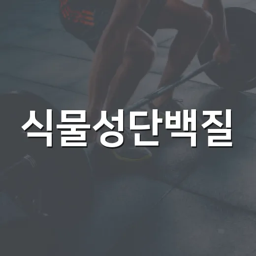 식물성단백질, 고기 대신 먹어도 괜찮을까요? - 요약