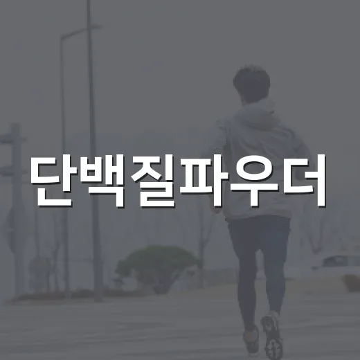단백질파우더, 매일 먹어도 괜찮을까요? - 요약