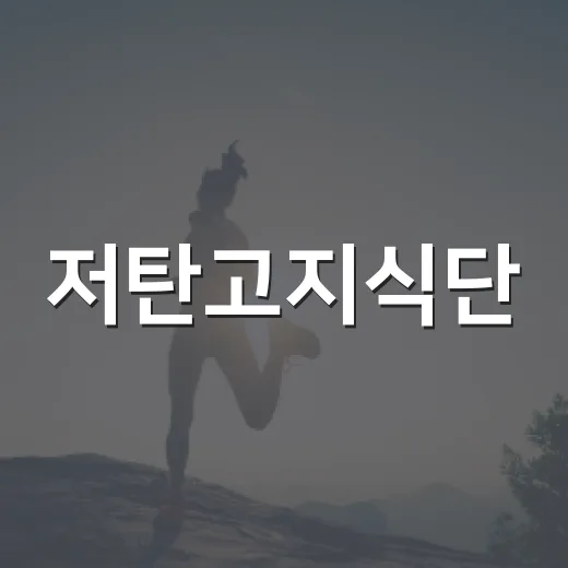 저탄고지식단, 체중은 빠지는데 계속 해도 괜찮을까요? - 요약