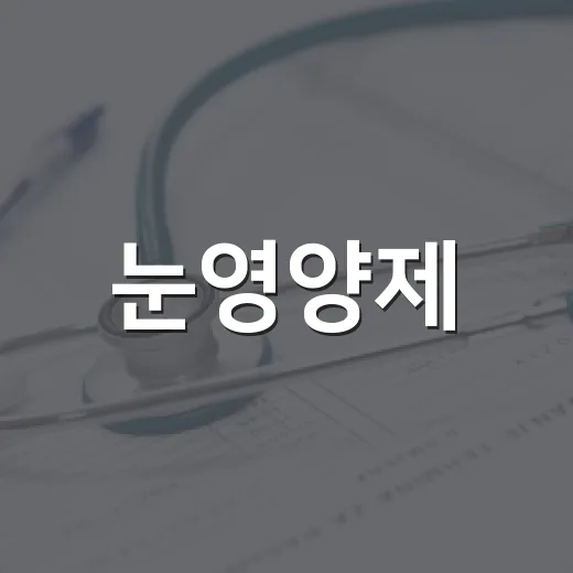 눈영양제, 매일 먹으면 정말 눈이 덜 피곤해질까요? - 요약