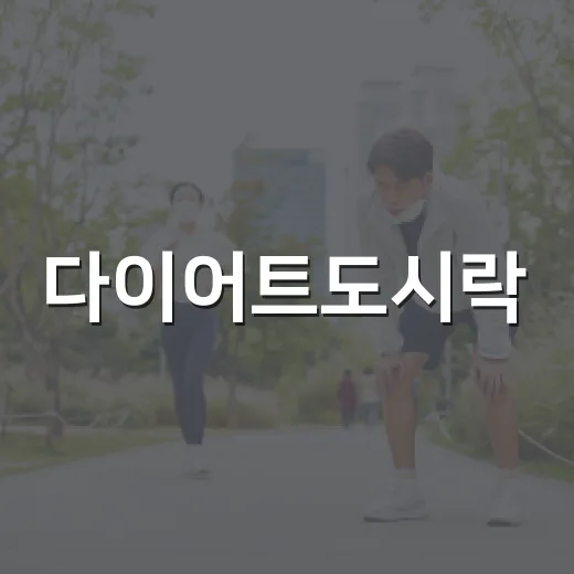다이어트도시락, 정말 살 빠지는 식사로 먹고 계신가요? - 요약