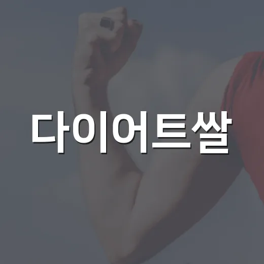 다이어트쌀, 정말 밥을 줄이는 데 도움이 될까요? - 요약