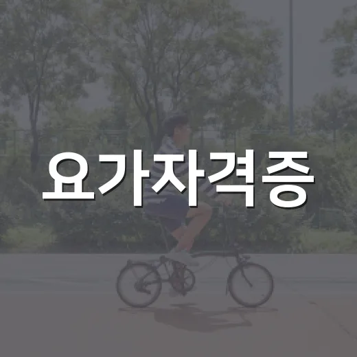 요가자격증, 건강을 다루는 일이라면 무엇부터 확인해야 할까요? - 요약