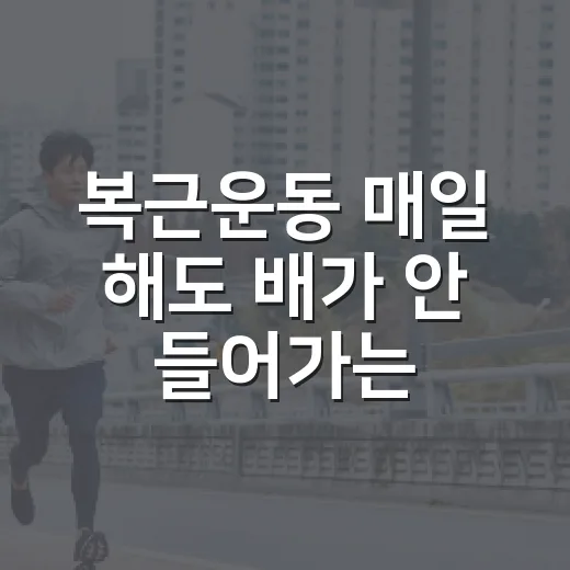 복근운동 매일 해도 배가 안 들어가는 이유가 궁금하신가요? - 요약