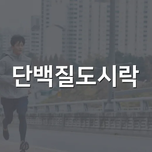단백질도시락, 매일 먹어도 괜찮을까요? - 요약