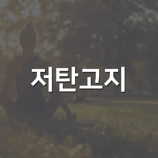 저탄고지, 살은 빠지는데 계속해도 괜찮을까요? - 요약