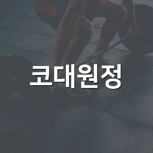 코대원정, 기침 가래에 처방받았는데 어떻게 먹어야 할까요? - 요약