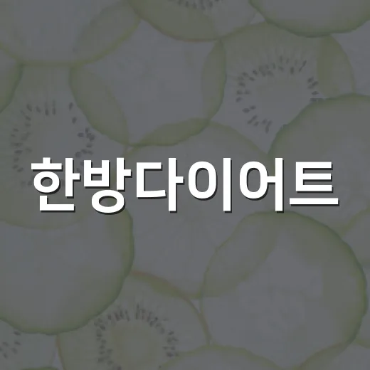 한방다이어트, 나에게 맞는 방법인지 궁금하신가요? - 요약