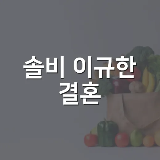솔비 이규한 결혼·18kg 감량 어떻게 봐야 할까요? - 요약
