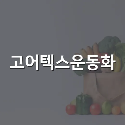 고어텍스운동화, 비 오는 날마다 신어도 될까요? - 요약