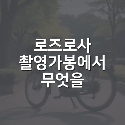 로즈로사 촬영가봉에서 무엇을 확인하면 좋을까요? - 요약