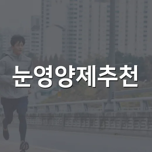 눈영양제추천, 내 눈에도 필요할까요? - 요약