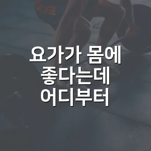 요가가 몸에 좋다는데 어디부터 시작할까요? - 요약