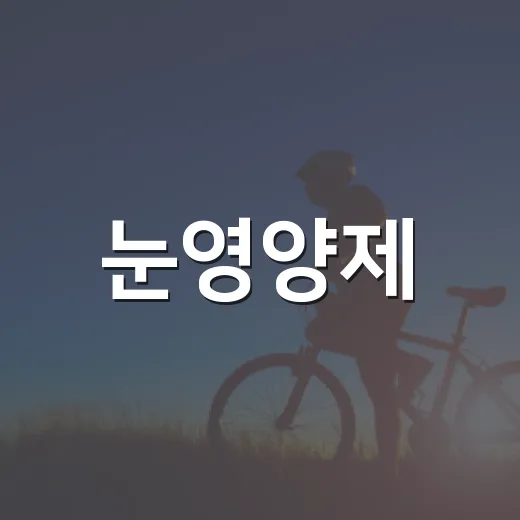 눈영양제, 눈이 피곤할 때 먹으면 나아질까요? - 요약