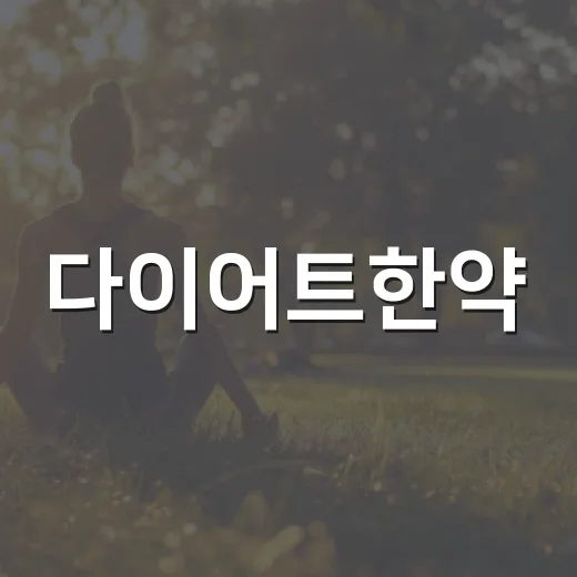 다이어트한약, 먹기 전에 무엇을 확인해야 할까요? - 요약