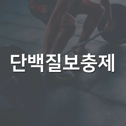 단백질보충제, 운동하면 꼭 먹어야 할까요? - 요약