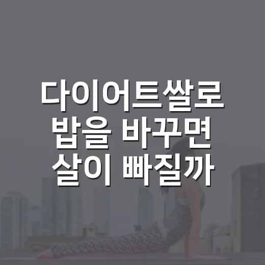 다이어트쌀로 밥을 바꾸면 살이 빠질까요? - 요약