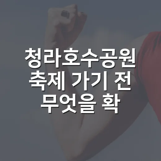 청라호수공원 축제 가기 전 무엇을 확인할까요? - 요약