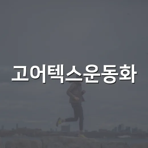 고어텍스운동화, 매일 신어도 괜찮을까요? - 요약