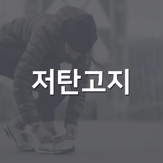 저탄고지, 살은 빠져도 계속해도 될까요? - 요약
