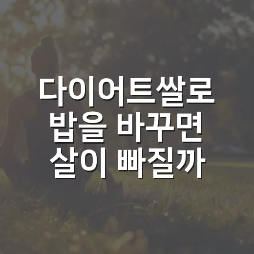 다이어트쌀로 밥을 바꾸면 살이 빠질까요? - 요약