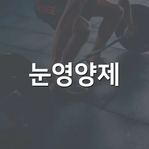 눈영양제, 눈이 피곤하면 먹어야 할까요? - 요약