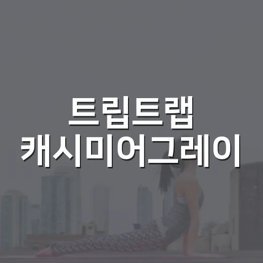 트립트랩 캐시미어그레이, 우리 집 식탁에 맞을까요? - 요약