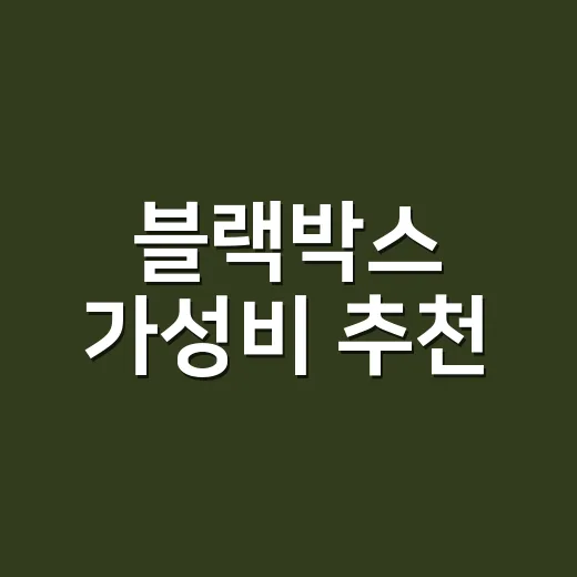 블랙박스 가성비 추천, 예산별로 후회 줄이는 방법 - 요약
