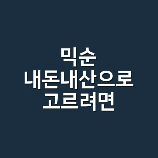 믹순 내돈내산으로 고르려면 이렇게 계산하세요 - 요약