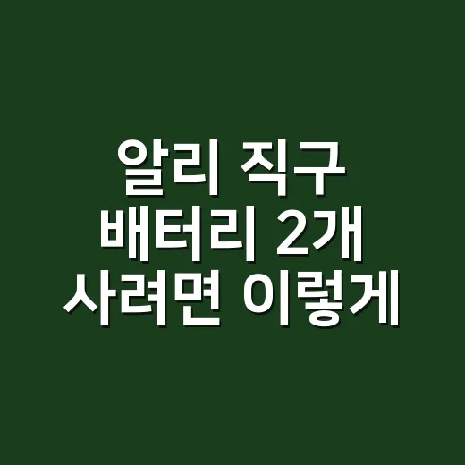 알리 직구 배터리 2개 사려면 이렇게 계산하세요 - 요약