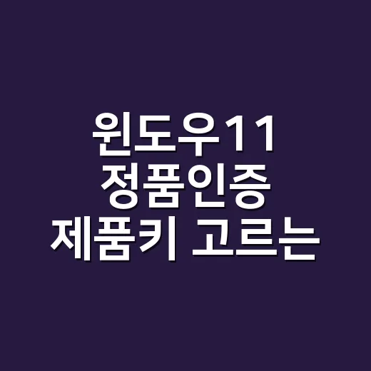 윈도우11 정품인증 제품키 고르는 방법, 싼 키 살 때 보는 기준 - 요약