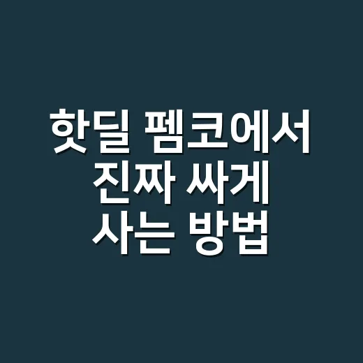 핫딜 펨코에서 진짜 싸게 사는 방법 - 요약