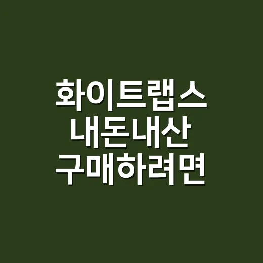 화이트랩스 내돈내산 구매하려면 가격표보다 먼저 볼 것들 - 요약