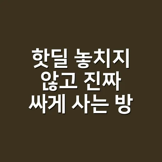핫딜 놓치지 않고 진짜 싸게 사는 방법 - 요약